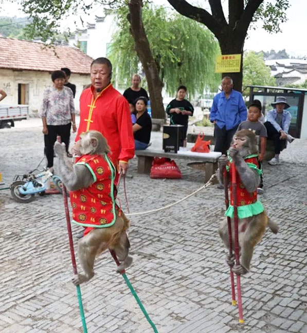 猴戏